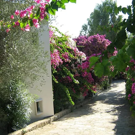 Jungle Aparthotel Torba