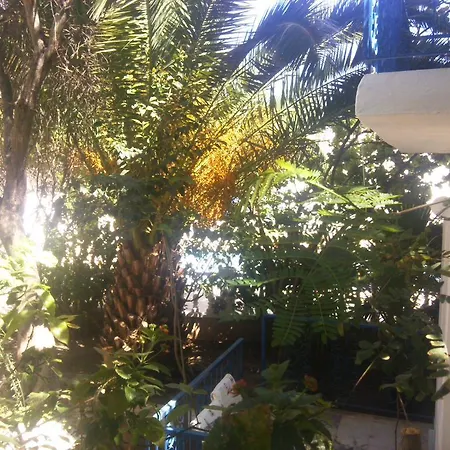 Aparthotel Jungle