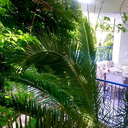 Aparthotel Jungle