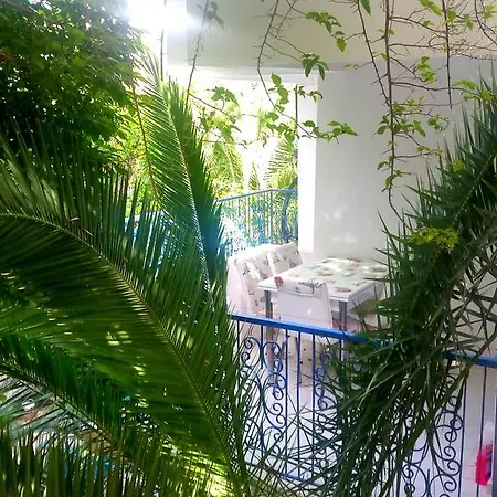 Aparthotel Jungle *