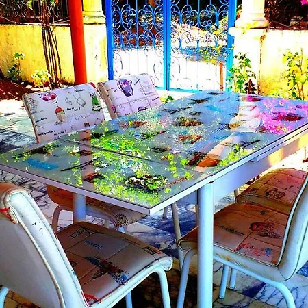 Aparthotel Jungle Torba