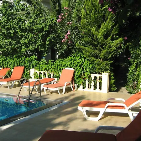 Jungle * Torba