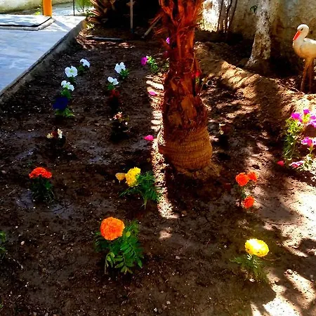 Lejlighedshotel Jungle *